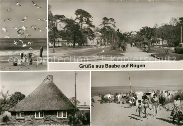Baabe Ostseebad Ruegen Möwen am Strand Promenade Reetdachhaus