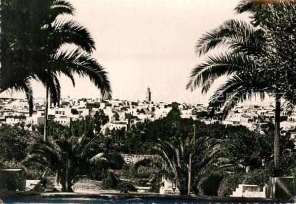 Meknes La Ville ancienne vue de l_Hotel Transa