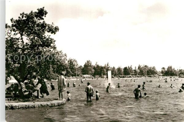 Schneeberg Erzgebirge Strandbad Filzteich