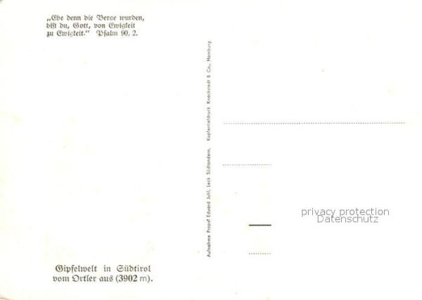 Ortler – Bild 2