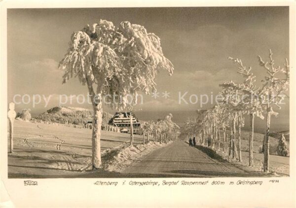 Altenberg Erzgebirge Berghof Raupennest