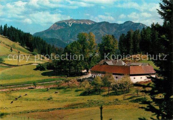 Schneeberg Oesterreich Alpengasthof zur Kalten Kuchl