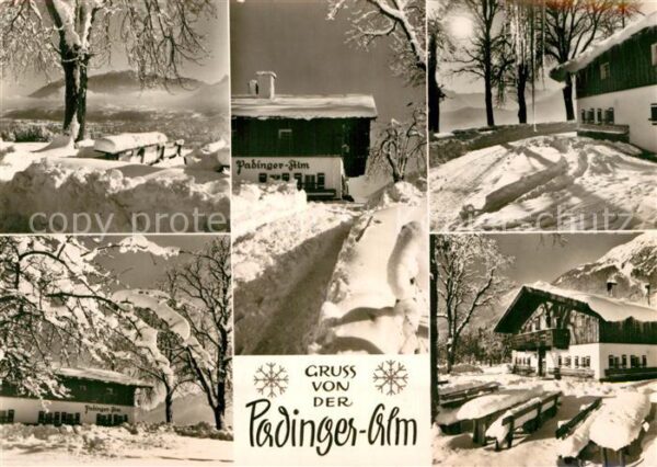 Padinger Alm