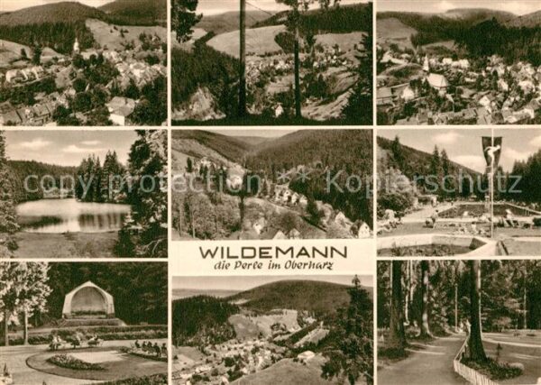Wildemann