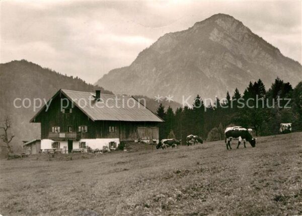 Weissbach Alpenstrasse Höllenbachalm