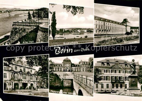 Bonn Rhein Universität Bundeshaus Alter Zoll  Beet