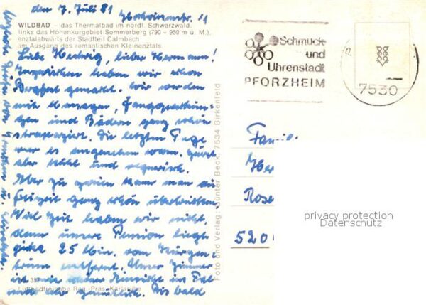 Wildbad Schwarzwald Sommerberg Calmbach Kleinenztal Flieger – Bild 2