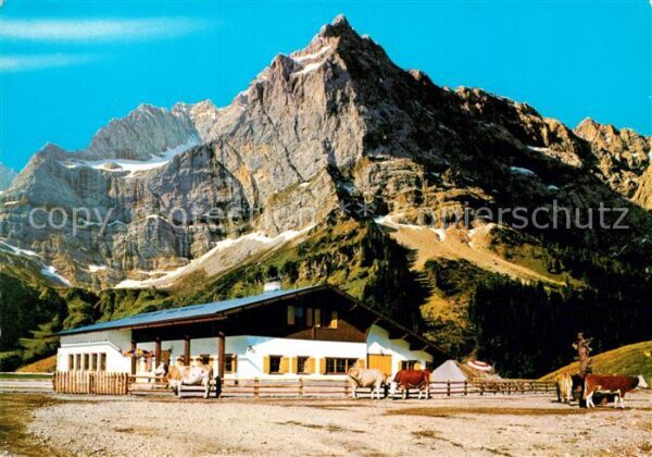 Eng Alm Rasthütte Karwendel Kühe