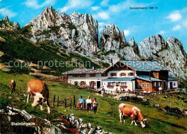 Aschau Chiemgau Steinlingalm Kampenwand und Kühen