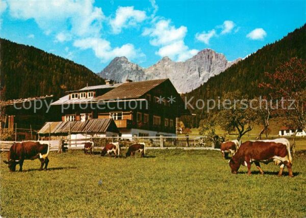Ramsau Berchtesgaden Bauernhaus Kühe
