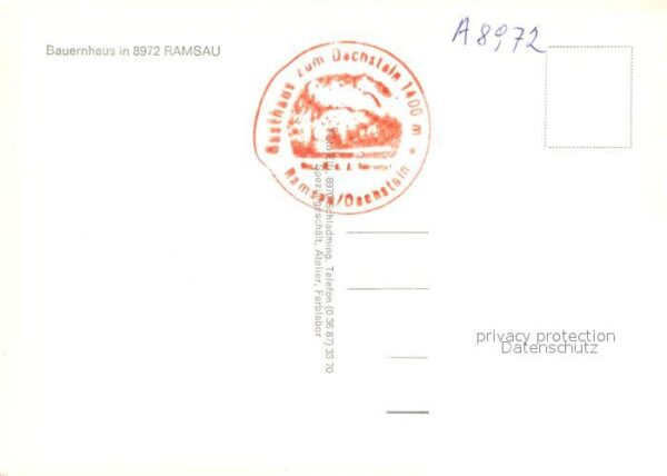 Ramsau Berchtesgaden Bauernhaus Kühe – Bild 2