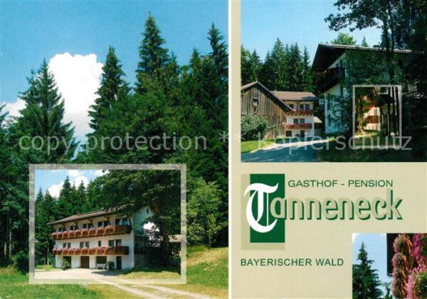 Tanneneck Gasthaus Pension Tanneneck