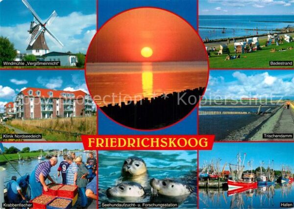 Friedrichskoog Nordseebad Windmühle Klinik Krabbenfischer Seehund