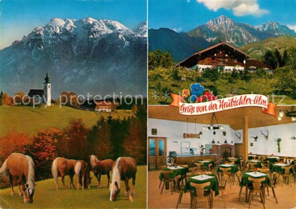 Hoegl Piding Berggaststätte Neubichleralm Haflinger