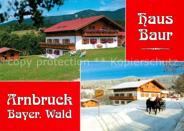 Arnbruck Ferienwohnungen Haus Baur Pferdekutsche