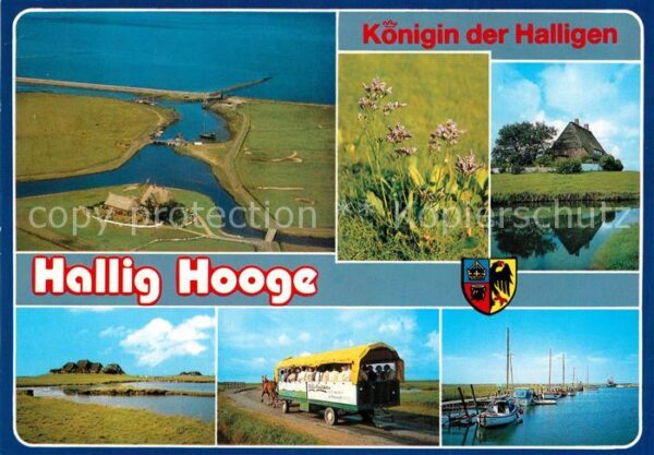 Hallig Hooge Landschaftspanorama Pferdewagen Hafen N