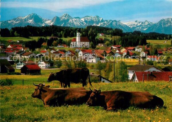 Lechbruck See Ortsansicht mit Kirche Viehweide Kühe T