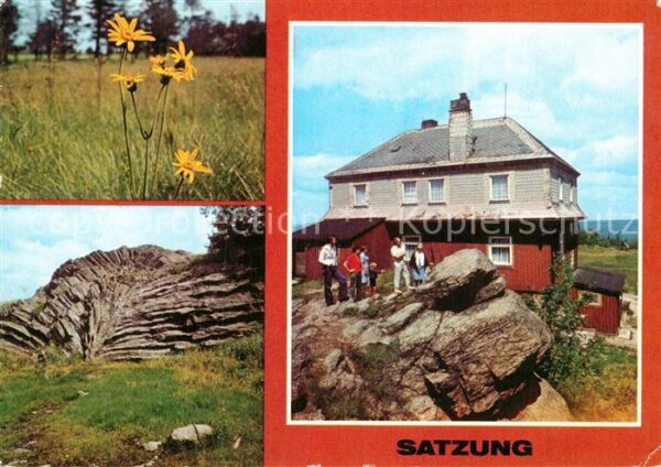 Satzung Arnika Pflanze Natur Nephelinbasalt Fäc