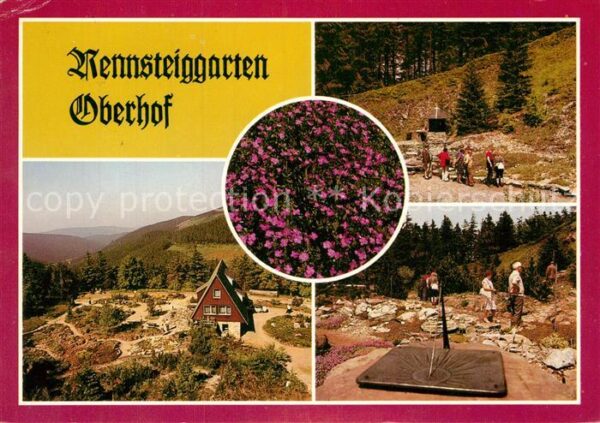 Oberhof Thueringen Rennsteingarten Botanischer Garten für