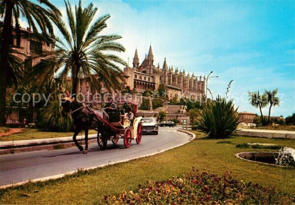 Palma de Mallorca Paseo y Catedral