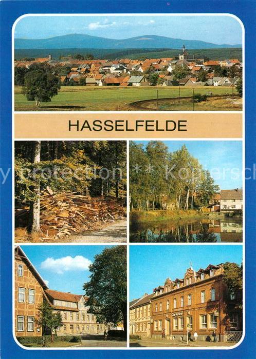 Hasselfelde Übersicht Holzkohlerei Teichstrasse Mar