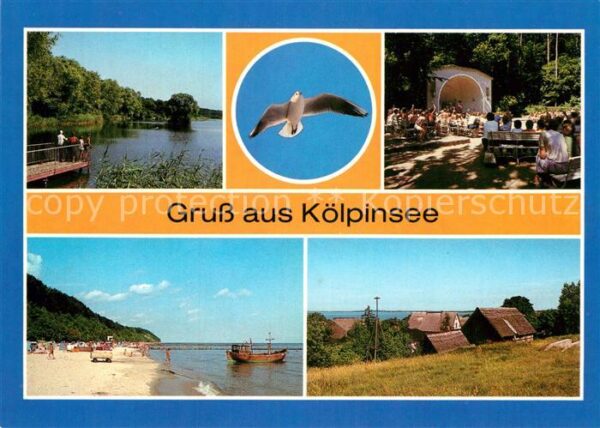 Koelpinsee Usedom Blick zur Liebesinsel Kölpinsee Konzert