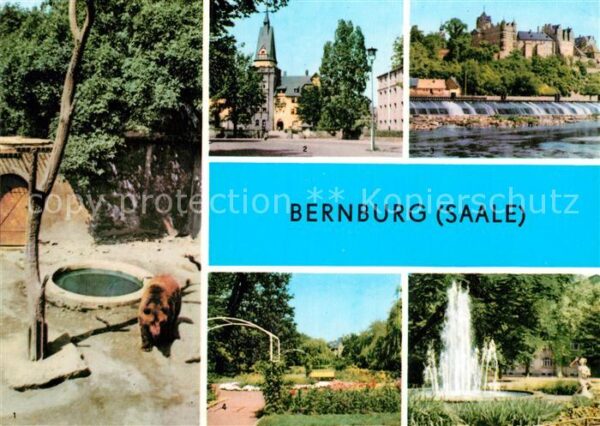 Bernburg Saale Bärenfreigehege am Schloss Kurhaus Rose