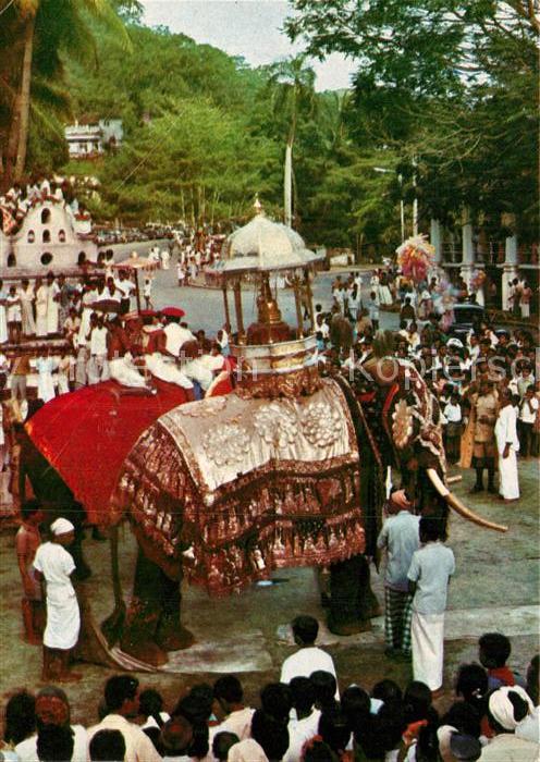 Sri Lanka Procession mit Elefanten