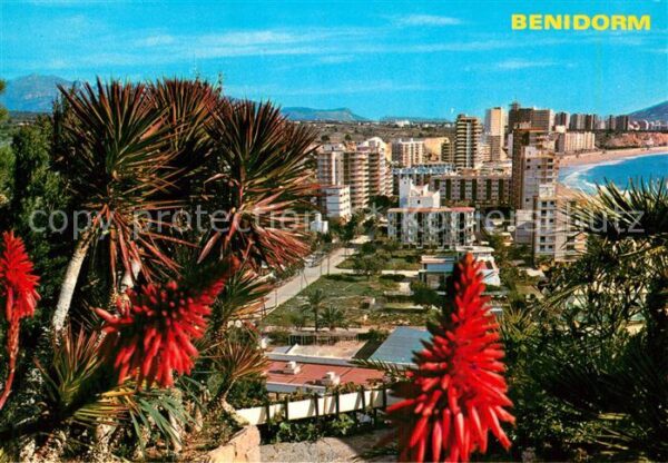 Benidorm