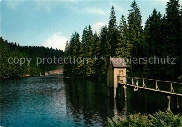 Zellerfeld Spiegeltaler Teich