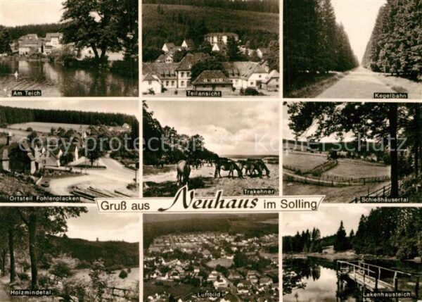 Neuhaus Solling Teich Kegelbahn Trakehner Pferde Schies