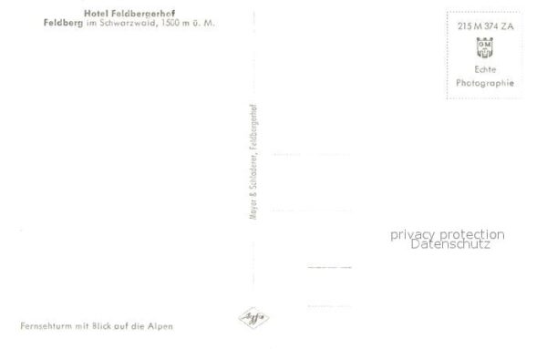 Feldberg Schwarzwald Fernsehturm mit Blick auf die Alpen – Bild 2
