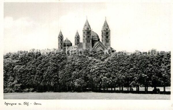 Speyer Rhein Dom