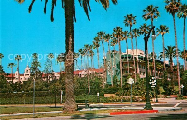 Beverly Hills California Beverly Hills Hotel Palm Trees Will Rog
