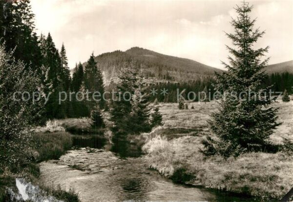 Schierke Harz Landschaftspanorama mit der Bode Blick