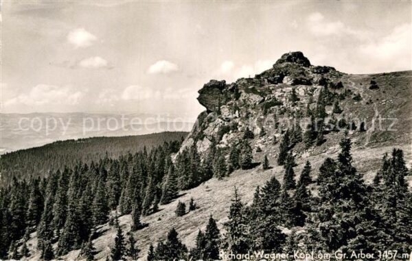 Grosser Arber Richard Wagner Kopf Bayerischer Wald