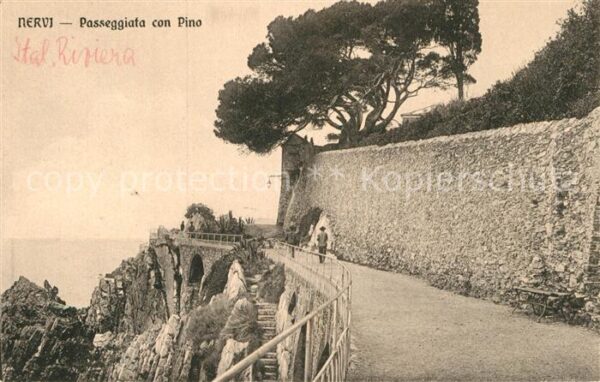 Nervi Passeggiata con Pino