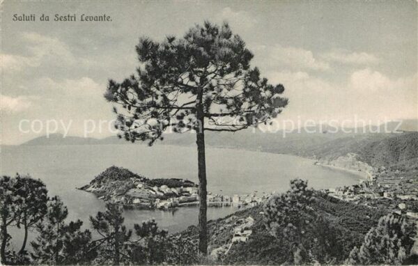 Sestri Levante Panorama Küstenstadt