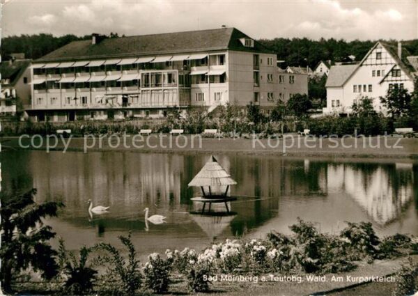Bad Meinberg Kurparkteich Schwäne