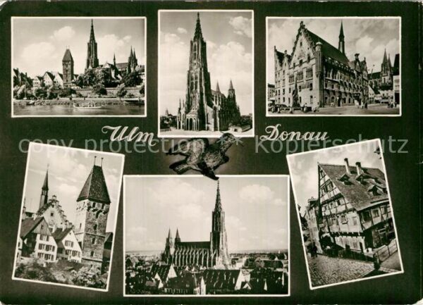 Ulm Donau Blick über die Donau zum Münster Altsta