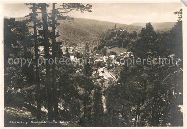 Schwarzburg Thueringer Wald Durchblick vom Wildgatter