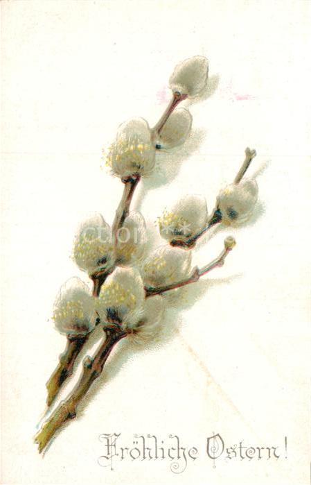 Ostern Easter Paques Weidenkätzchen Litho