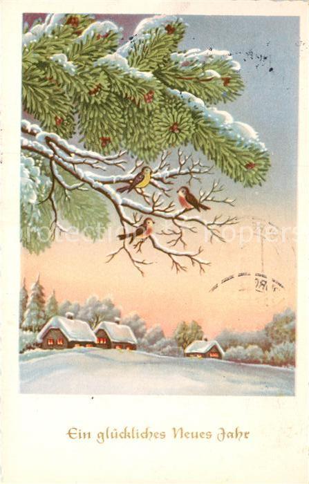 Neujahr Vögel