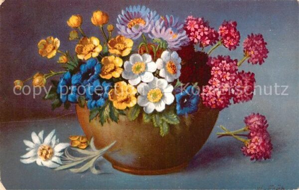 Blumen Edelweiss Primeln Schlüsselblumen