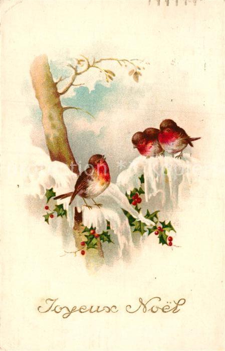 Voegel Rotkehlchen Weihnachten Litho