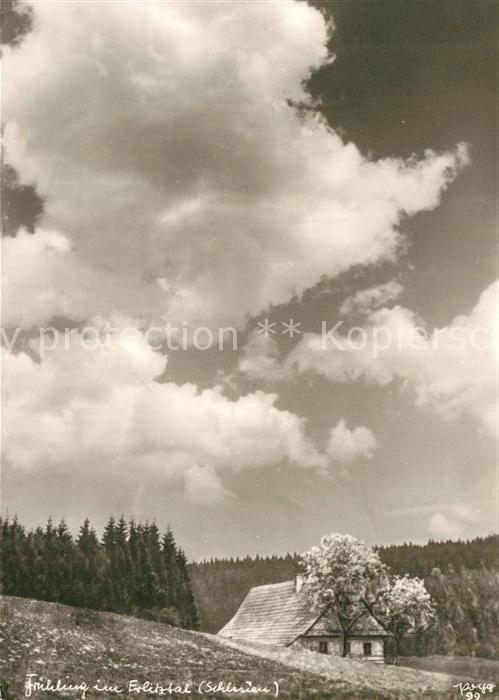 Foto Popp Nr. 99 Frühling im Erlitztal Schlesien