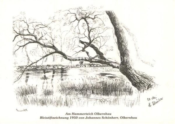 Bleistiftzeichnung Johannes Schönherr Hammerteich Olbernha