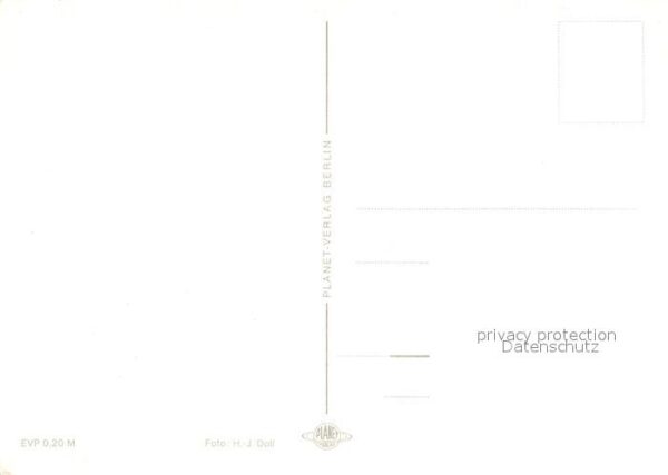 Voegel – Bild 2