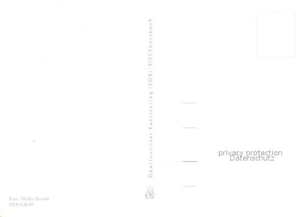 Voegel – Bild 2
