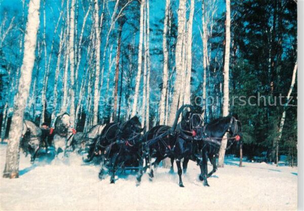 Pferdeschlitten Russische Troika